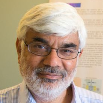 Shankar Subramaniam, PhD