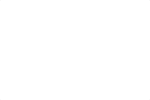 Keynote Talks