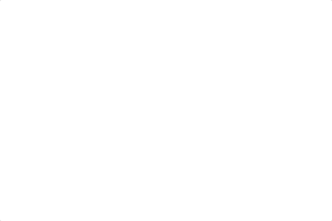 1 on 1 Networking